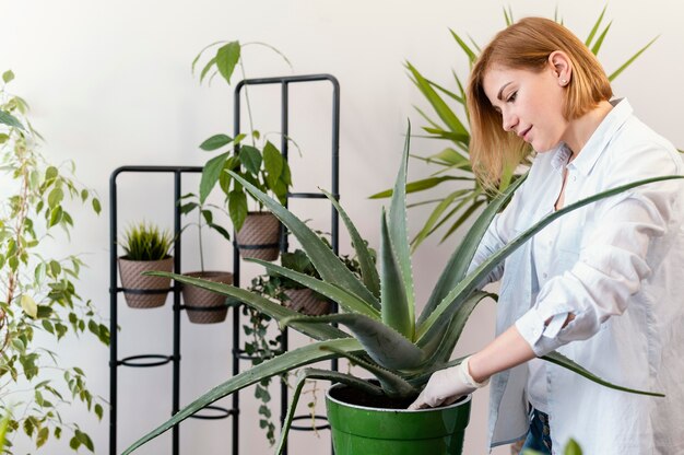 Czy rośliny doniczkowe mogą poprawić jakość powietrza w twoim domu?